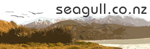 Seagull Web Logo